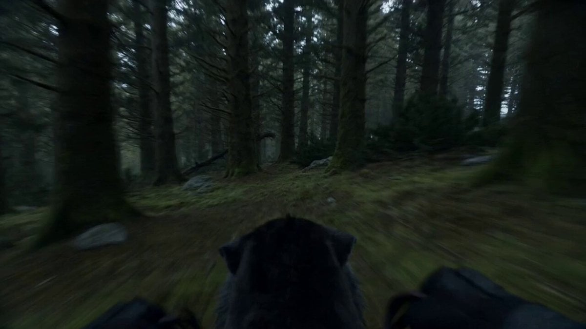 Second Single-Shot Action Sequence Prompt