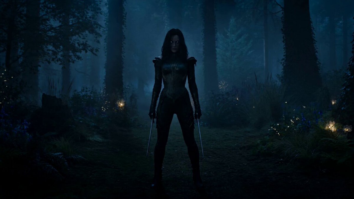 Rogue Elf Assassin Forest Fight