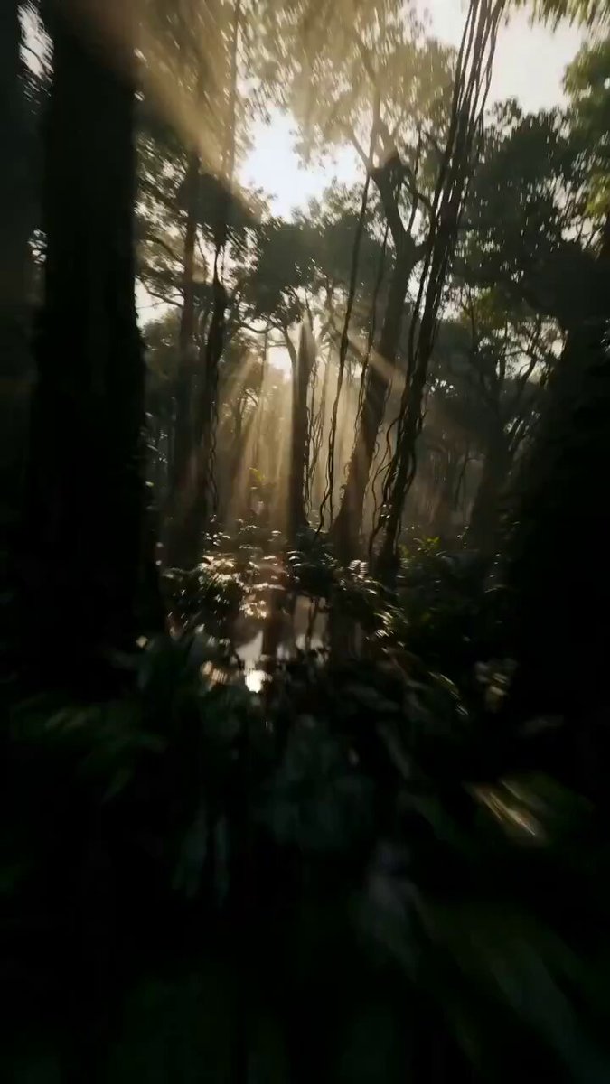 FPV Drone Shot through Tikal