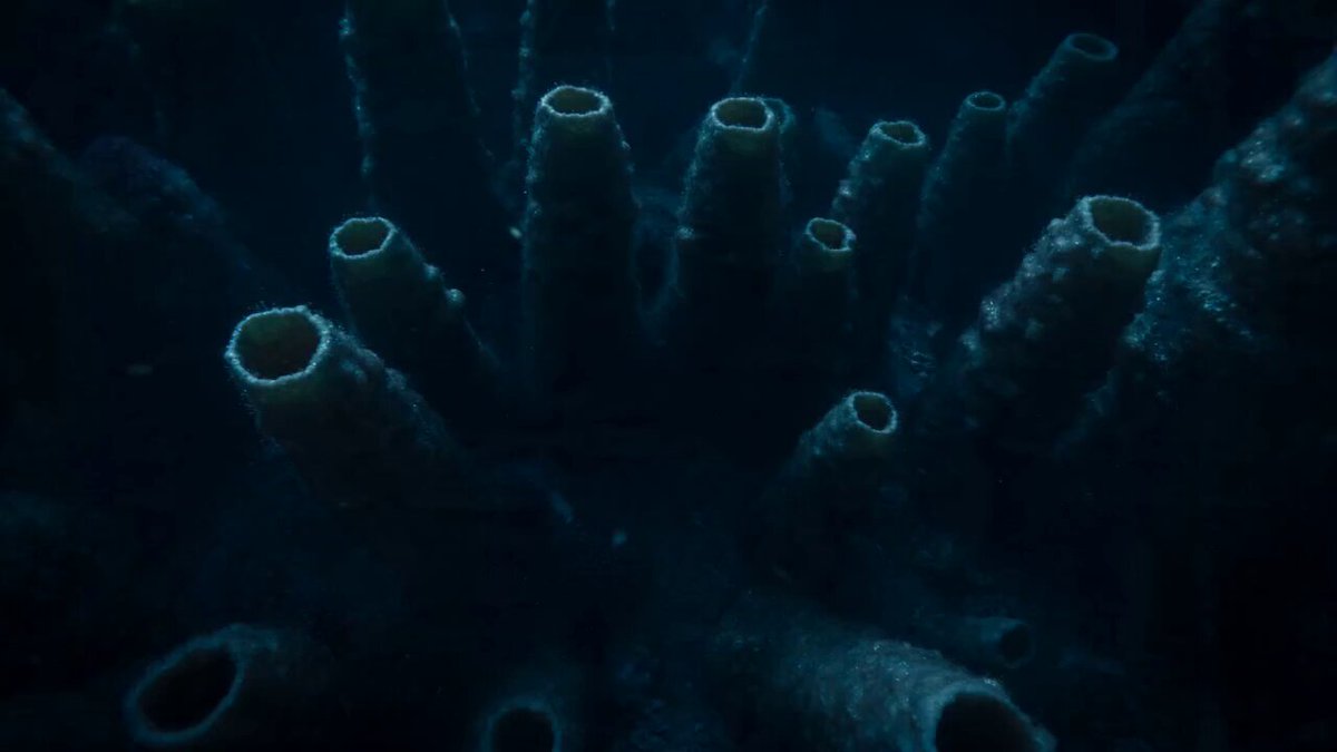 Bioluminescent Deep Sea Abyss