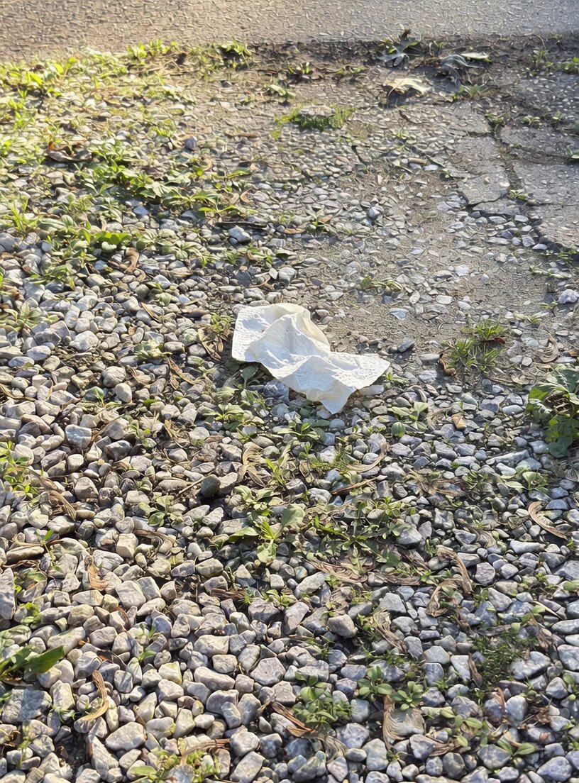 Paper Towel Alien Transformation