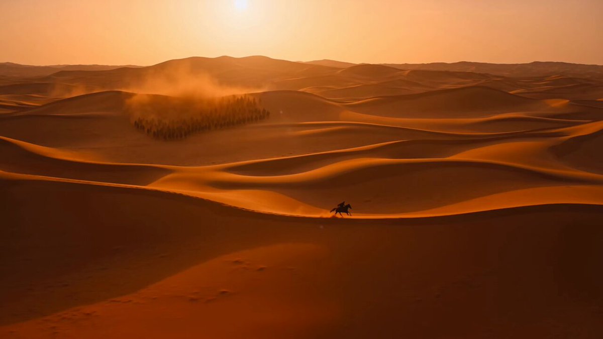 Sunset Desert Horse Chase