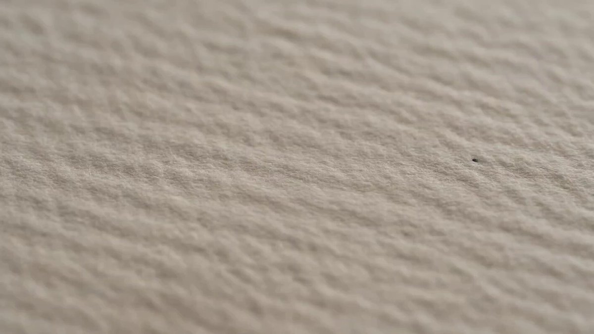 Luxury Stationery Storyboard Animation