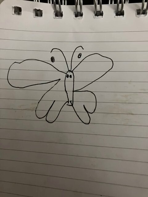 Bedtime Butterfly Animation