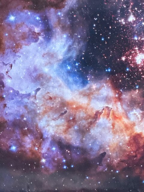 Nebula to Shrimp Morphing Animation