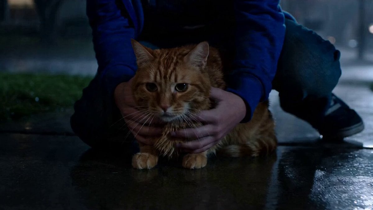 Second Microdrama: Alien Cat Twist