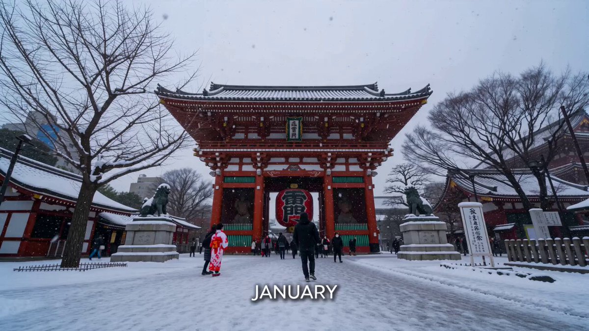 Month Time-lapse Video Prompt