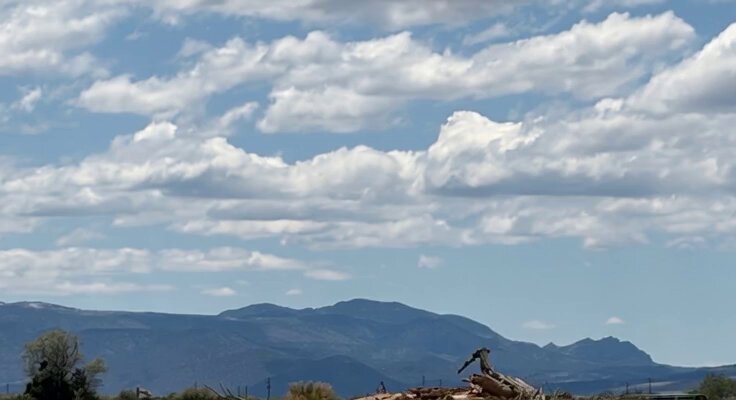 Flying Pterodactyl Animation