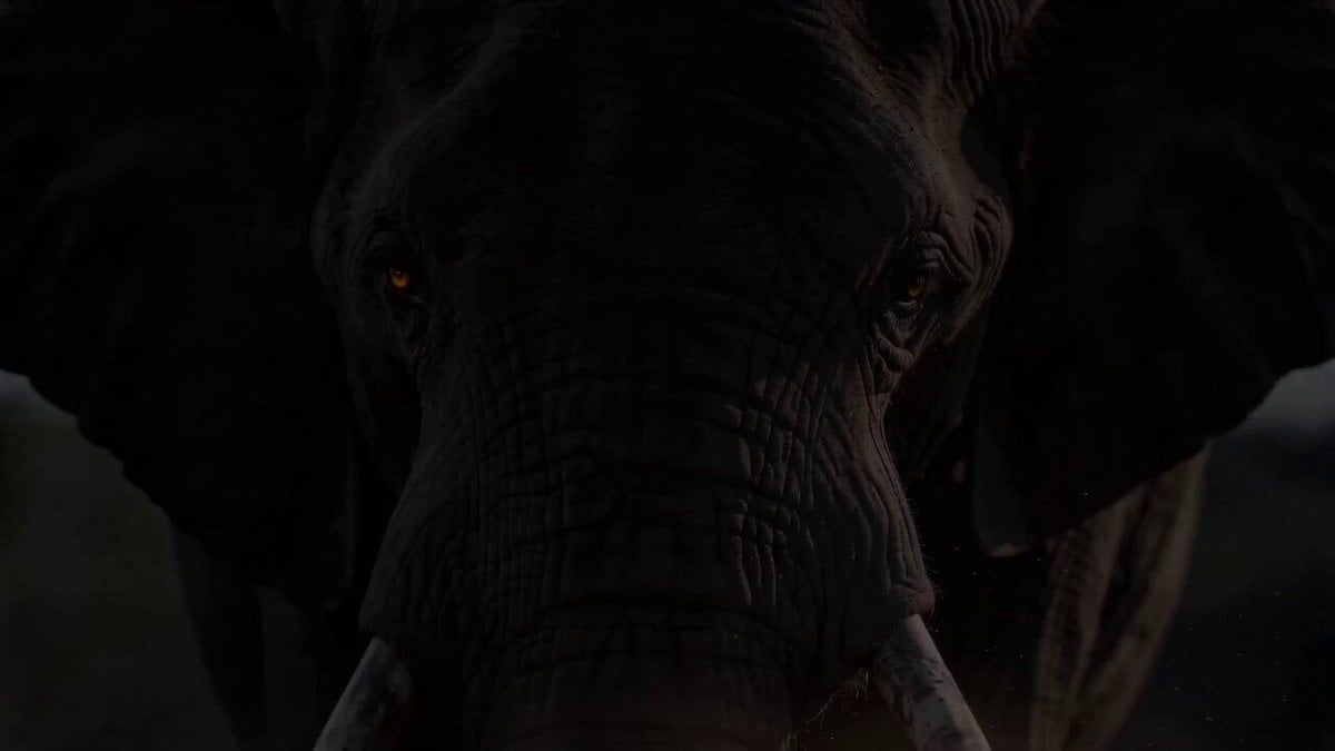 Epic Wildlife Campaign Trailer