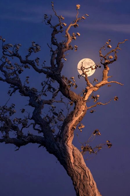 Peaceful night with crows prompt