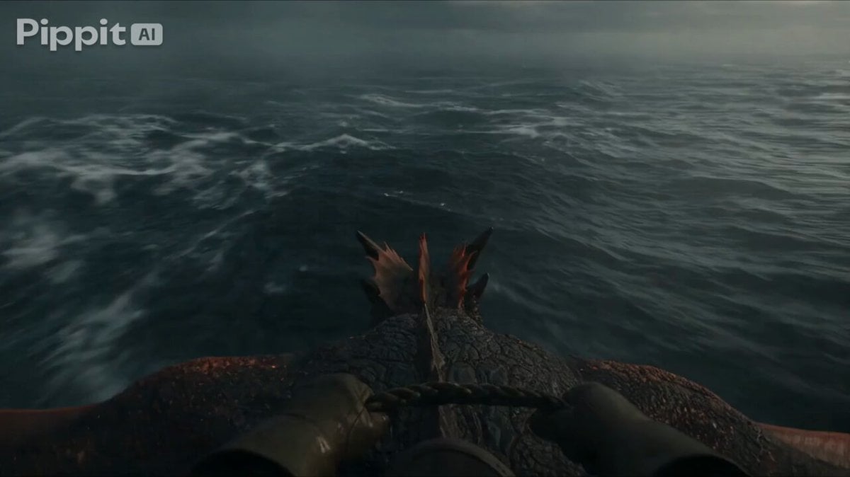 First Person Dragon Rider POV