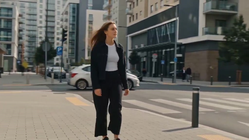 seedance-wind-guides-path example 2